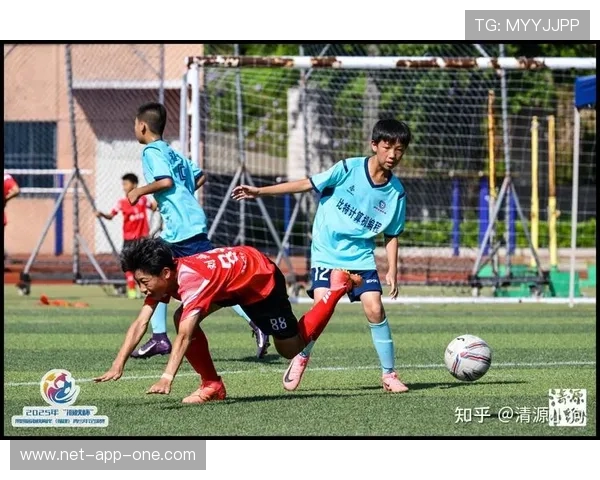 足球球星效应对青少年体育参与与社会文化影响的综合探讨